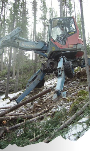 Environmentally responsible forest and natural resource services.