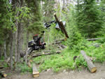 Piling blowdown and beetle killed trees for burning with Kaiser spider walking excavator.