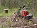 Piling blowdown and beetle killed trees for burning with Kaiser spider walking excavator.