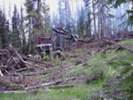Piling blowdown and beetle killed trees for burning with Kaiser spider walking excavator.