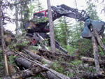 Piling blowdown and beetle killed trees for burning with Kaiser spider walking excavator.