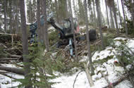 More pile building, working down into a small gulley.