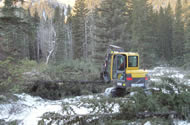 Piling trees into drags to be skidded to the landings.