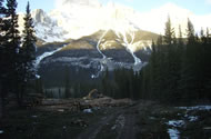Loading the processed logs for the mill.