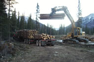 Loading the processed logs for the mill.